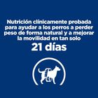 Hill's Prescription Diet J/D Metabolic + Mobility Frango ração para cães, , large image number null